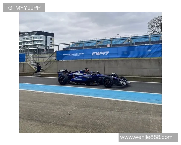 F1赛车燃料策略如何影响比赛成绩与车队战术布局分析